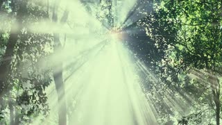 Blood Diamond Movie Trailer