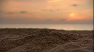 Turtle: The Incredible Journey Movie Trailer