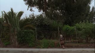 Morning Movie Trailer