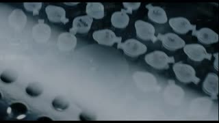 Errors of the Human Body Movie Trailer