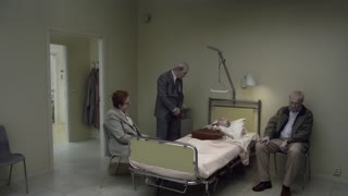 A Pigeon Sat on a Branch Reflecting on Existence Movie Clip