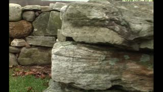 Triumph of the Wall Movie Trailer