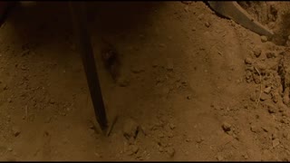 The Water Diviner Movie Trailer