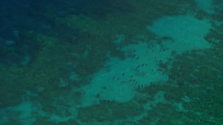 Living in the Age of Airplanes Movie Trailer