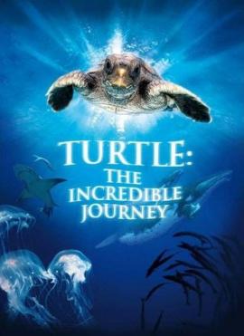 Turtle: The Incredible Journey 2009 movie poster