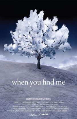 When You Find Me 2011 movie poster