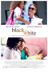 Black or White 2014 movie poster