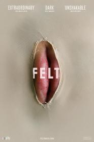 Felt 2014 movie poster